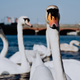 Illustration for article titled English swans invade small town in search of junk foodem/em